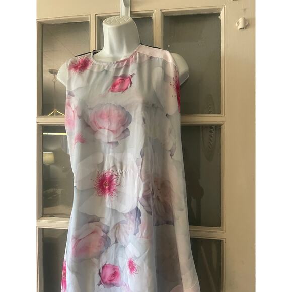 Ted Baker Agostia Dress - Picture 7 of 15